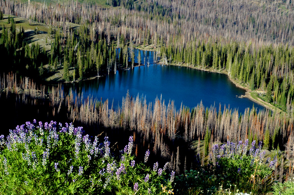 East Pine Res, from Divide Ridge, Eagle Cap Wilderness
