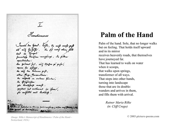 PALM OF THE HAND