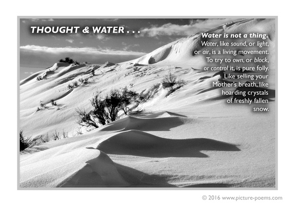 POSTER: Thought & Water