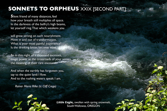 RILKE: Sonnet to Orpheus XXIX [second part]