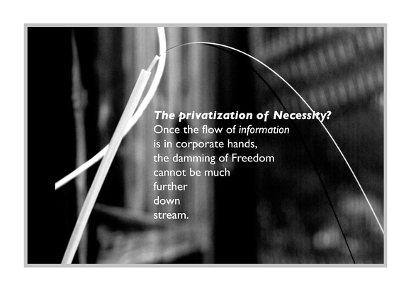 POSTER: The Privatization of Necessity--INFORMATION