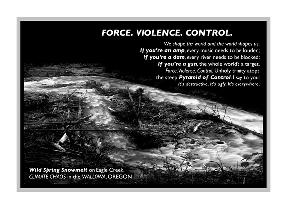 POSTER: Force. Violence. Control.'