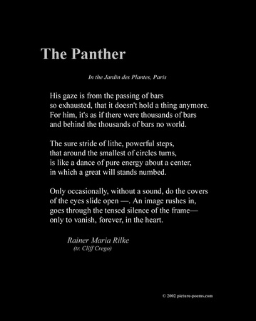 THE PANTHER