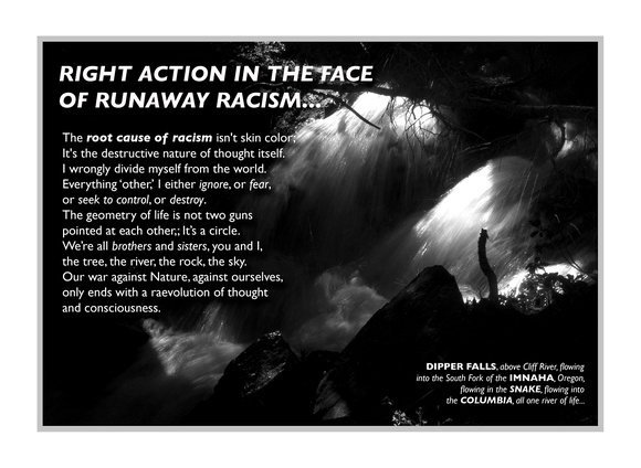 POSTER: Right Action in the face of runaway Racism