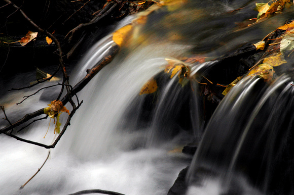 Autumn Stream, the Wallowas