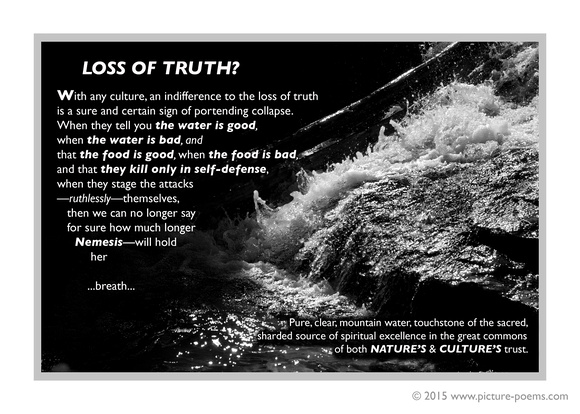 POSTER: Loss of Truth