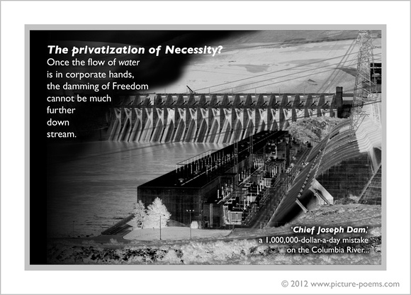 POSTER: The Privatization of Necessity