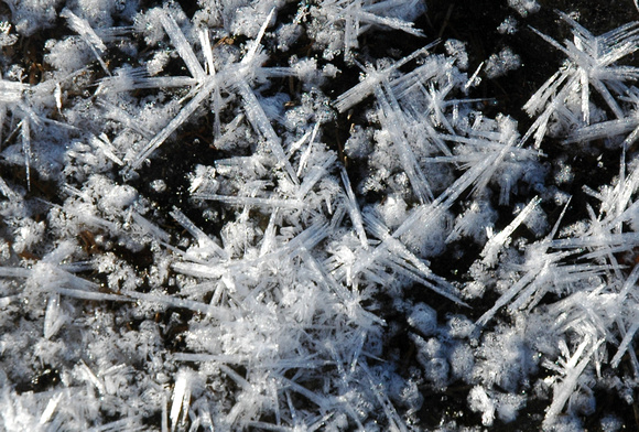 Snow Crystals on Ice
