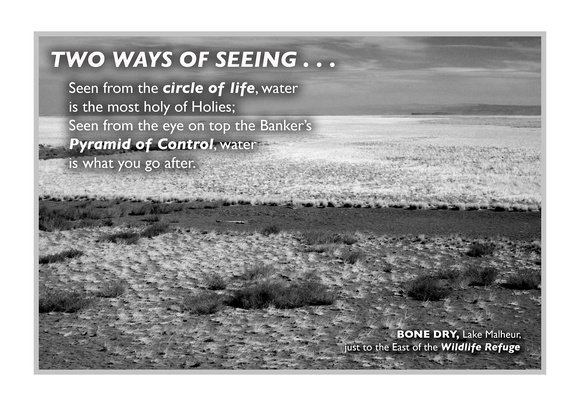POSTER: Two Ways of Seeing
