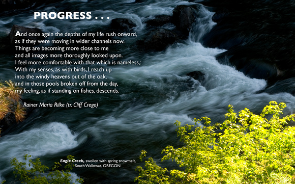 POSTER: Progress, a poem by Rainer Maria Rilke