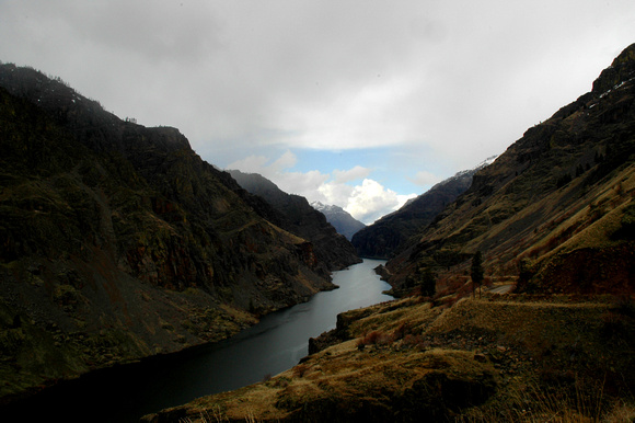 (Muted) Snake, above Hells Canyon