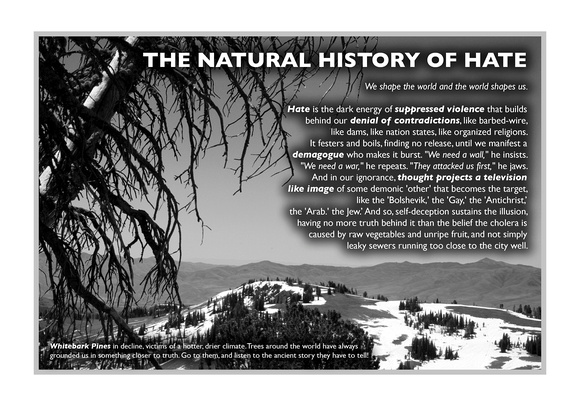 POSTER: The Natural History of Hate