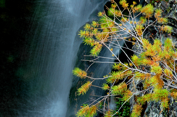 Whisper Falls, autumn, Glacier National Park