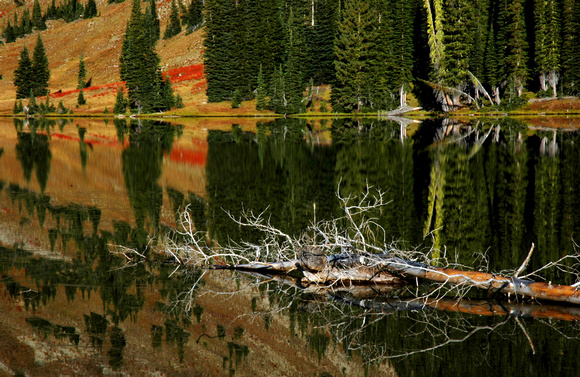 Hidden Lake, autumn textures, Eagle Cap Wilderness, Oregon