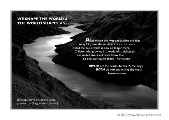 POSTER: We shape the world, and the world shapes us